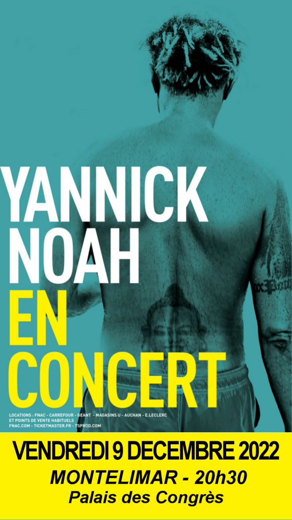 Yannick Noah en concert à Montélimar