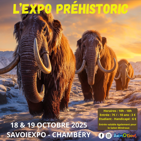 L’Exposition Préhistoric
