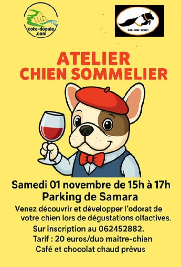 Atelier le chien sommelier