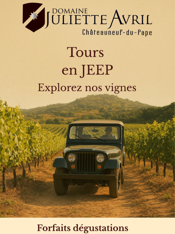 Tours en Jeep & dégustation 