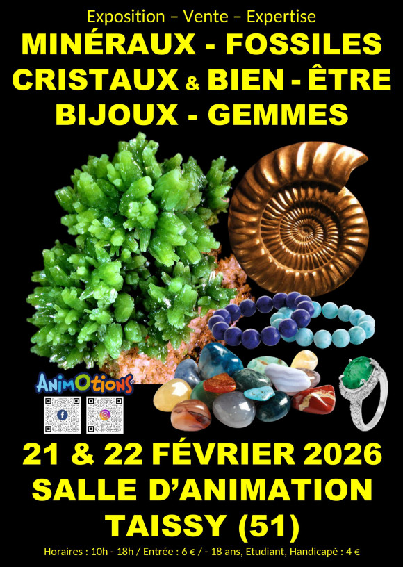 Salon Min&eacute;raux Fossiles Gemmes M&eacute;t&eacute;orites Cristaux & Bien-&Ecirc;tre et Bijoux de Cr&eacute;ateurs