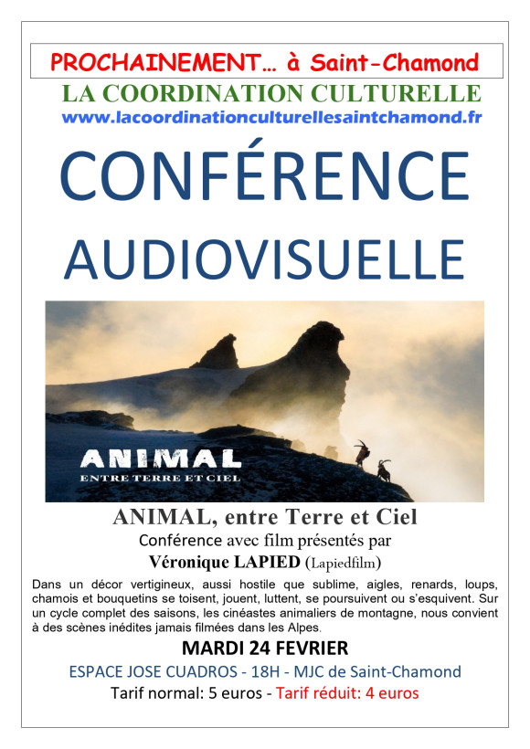 Animal, entre terre et ciel