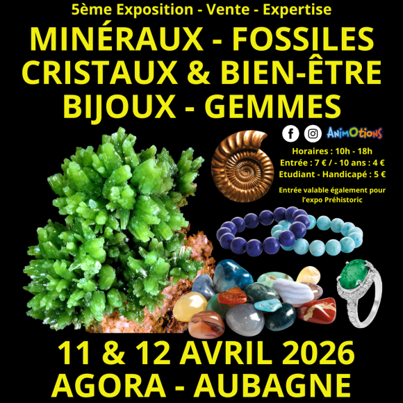 5&egrave;me Salon Min&eacute;raux Fossiles Cristaux & Bien-&Ecirc;tre Bijoux et Gemmes  + Exposition sur la Pr&eacute;histoire