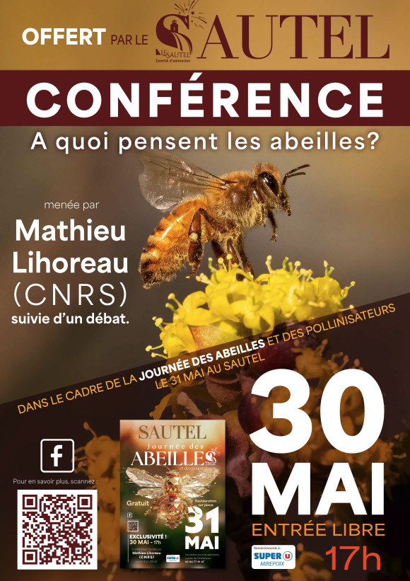 A Quoi Pensent les Abeilles ? 