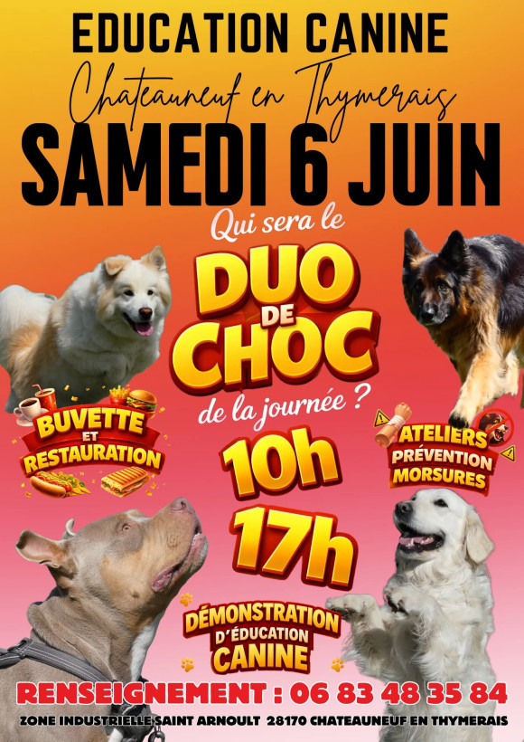 Éducation canine Chateauneuf en thymerais Porte ouvertes
