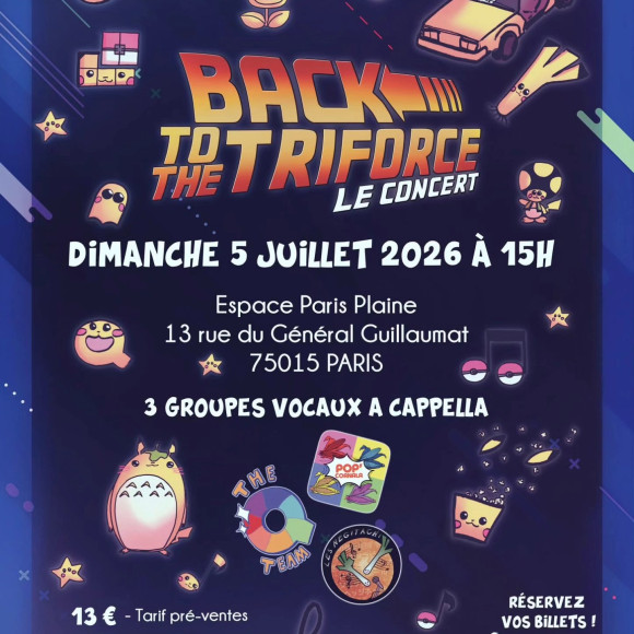 The Q-Team/Pop'Cornala/Negitachi - Back to the Triforce : le concert