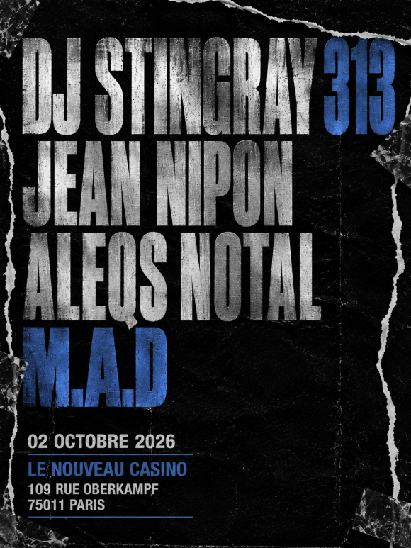 DJ STINGRAY 313
